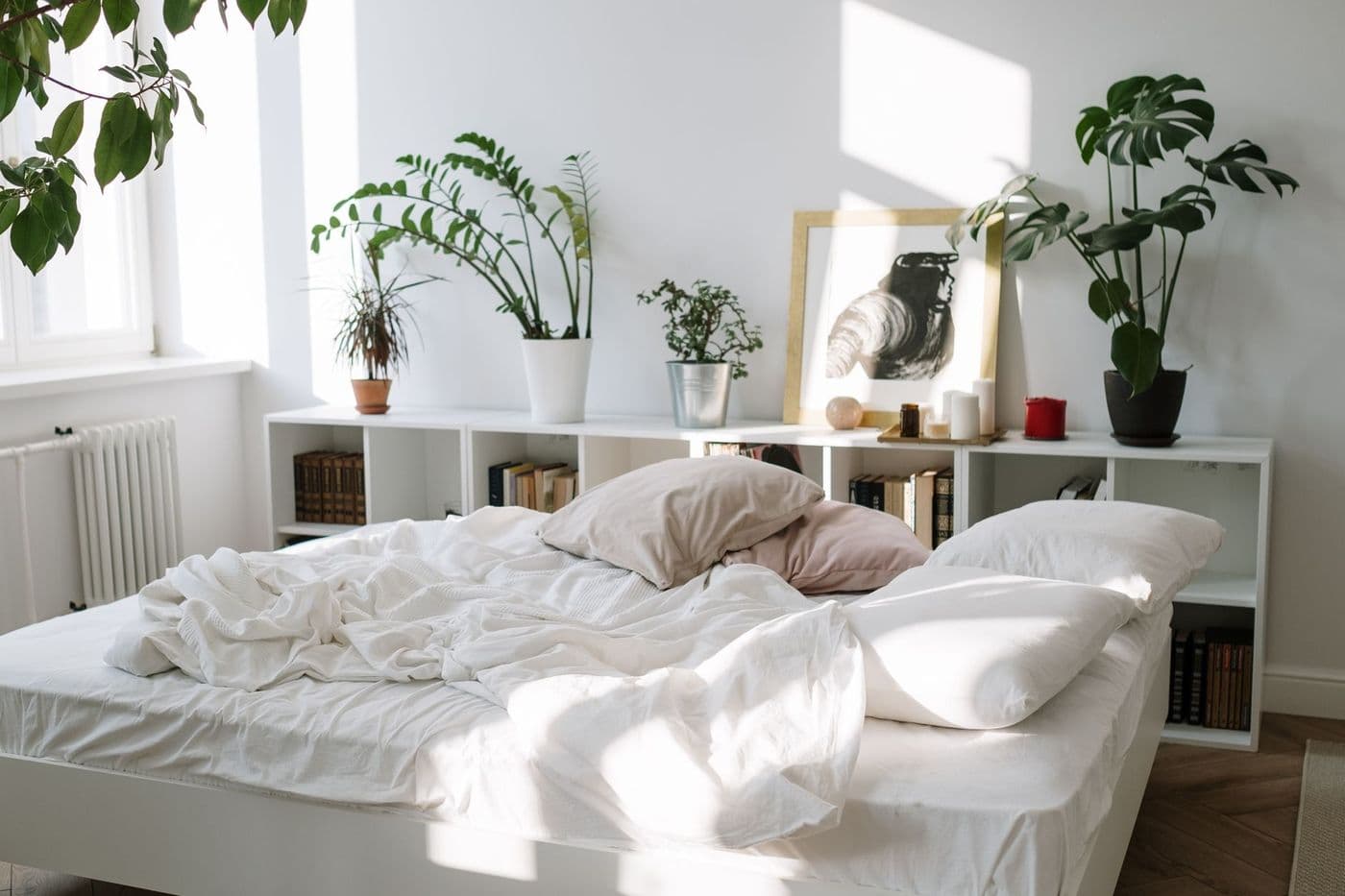 A tranquil bedroom with a messy bed, indoor plants, and natural sunlight.